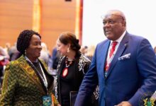 Mahama’s agricultural agenda driving economic transformation – Naana Opoku-Agyemang