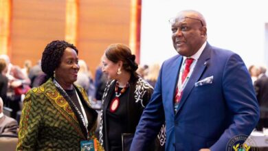 Mahama’s agricultural agenda driving economic transformation – Naana Opoku-Agyemang