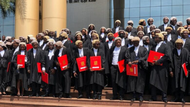 New-lawyers