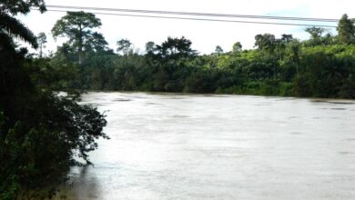 I’ll go for the head of the Transport Minister — Dr. Akwada on Volta lake disaster