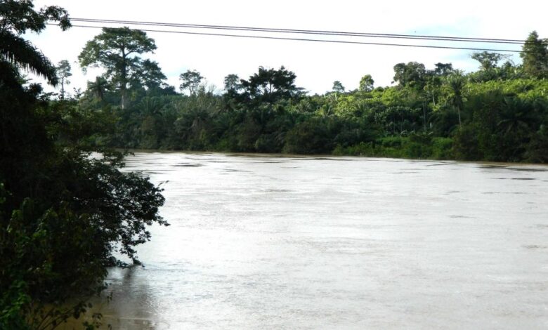 I’ll go for the head of the Transport Minister — Dr. Akwada on Volta lake disaster