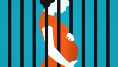 You Can't Sentence the Crime and Ignore the Cause: The Link Between Addiction and Appeals