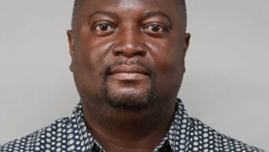 NPP’s 2028 hopes depend on strong leadership – Dr. Otchere