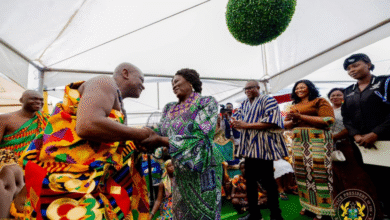 Asogli Yam Festival: Volta Region holds great agricultural potential