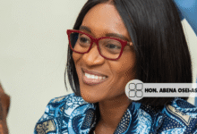 Accountability not an option but lifeblood of sustainable development