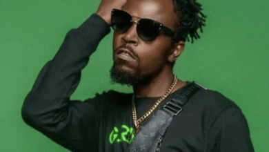 My rap on Edem's 'You Dey Craze' song made it an instant hit - Kwaw Kese brags