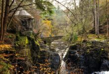 Where Can You Go For Wildlife Tourism In Scotland This Autumn?