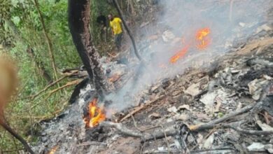 Committee Attributes August Helicopter Crash to Loss of Altitude and Lift