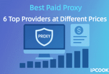 Best Paid Proxy: 6 Top Providers at Different Prices