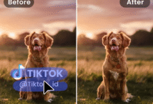 Clear Your Videos Easily with Our Smart Watermark Removal Tool