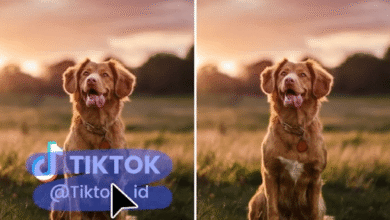 Clear Your Videos Easily with Our Smart Watermark Removal Tool