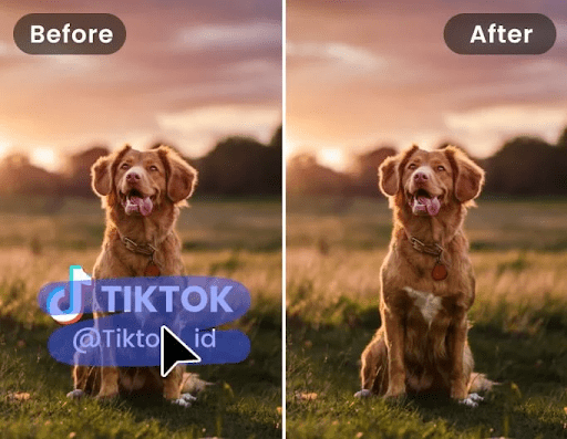 Clear Your Videos Easily with Our Smart Watermark Removal Tool
