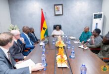 Vice President pushes for mutually beneficial clean-energy collaboration with Portage Energy