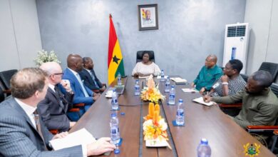 Vice President pushes for mutually beneficial clean-energy collaboration with Portage Energy