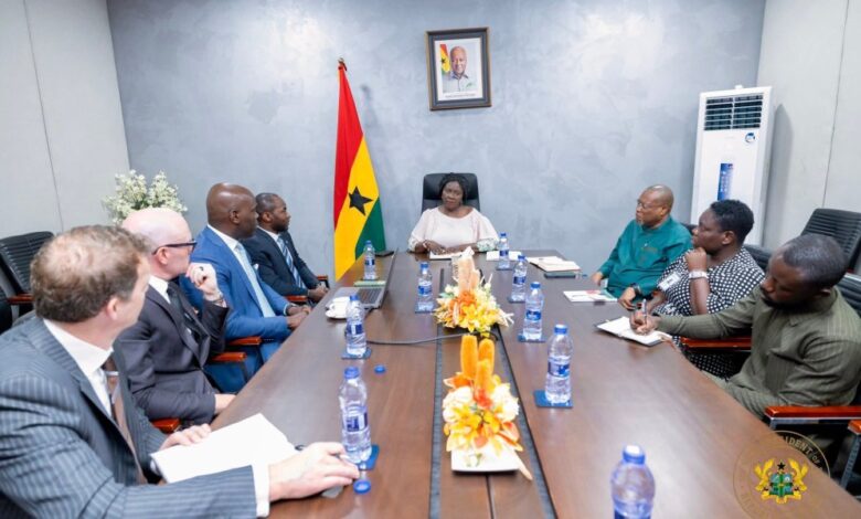 Vice President pushes for mutually beneficial clean-energy collaboration with Portage Energy