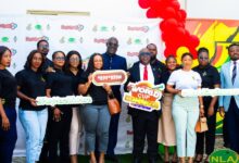 Growing and Shaping Brands Through Consumer Promotions