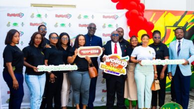 Growing and Shaping Brands Through Consumer Promotions