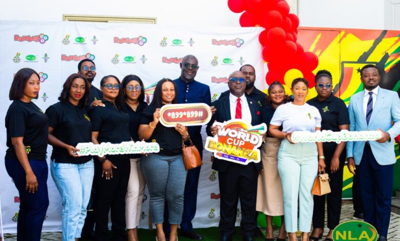 Growing and Shaping Brands Through Consumer Promotions