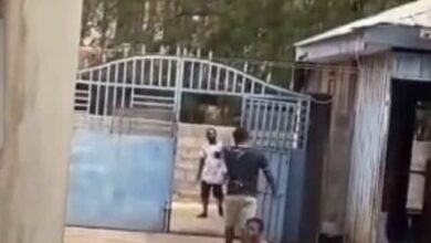 Leila Djansi calls for cultural reset after Odartey Lamptey assault incident