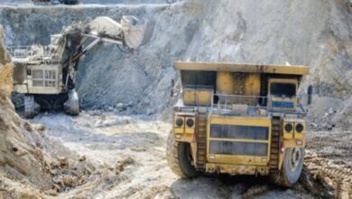 Minority demands restoration of 10% Lithium royalty