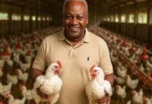 Prof. Kwabena Dei Ofori-Attah Slams Mahama’s “Nkoko Nkitinkiti” Project as Ineffective