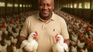 Prof. Kwabena Dei Ofori-Attah Slams Mahama’s “Nkoko Nkitinkiti” Project as Ineffective