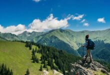 Travel Tips For Those Looking For Something Different