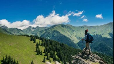 Travel Tips For Those Looking For Something Different