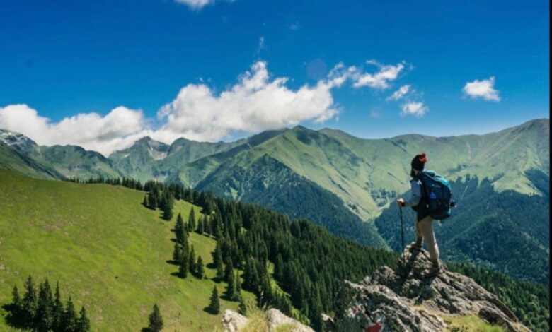 Travel Tips For Those Looking For Something Different