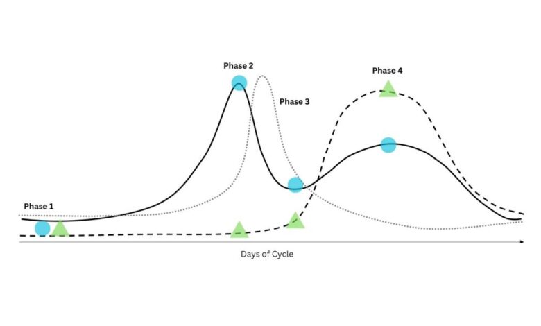 The Endocrine Athlete: How Hormone Cycles Shape Training and Competition