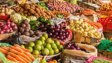 Ghana is still reliant on food imports - Apraku Lartey