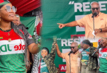 MzBel laments neglect by NDC after years of loyalty and campaign support