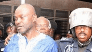 I was charged with treason because of Ursula  and Jinapor - Kennedy Agyapong