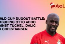 Pulse List: World Cup Dugout Battles – Measuring Otto Addo Against Tuchel, Dalić and Christiansen