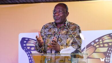 Pres. Mahama signals key role for Alan Kyerematen ahead of 2027 AU Chairmanship bid