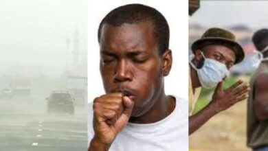 How To Stay Healthy As The Dry Harmattan Season Approaches