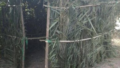 This was what sealed Christmas for us