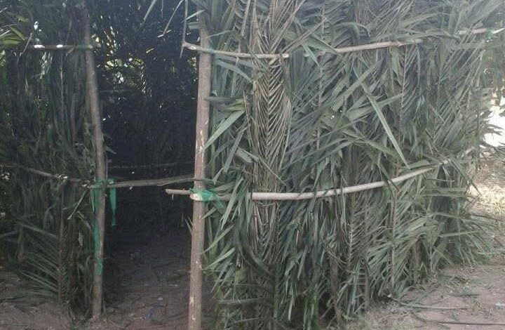 This was what sealed Christmas for us