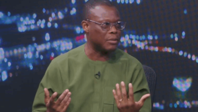 Fifi Kwetey cautions NDC Majority leaders over unilateral decisions
