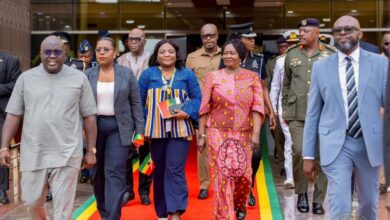 Vice President hails professionalism at 46th change of guard