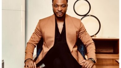 I am Ghanaian, Nigerians didn’t own me