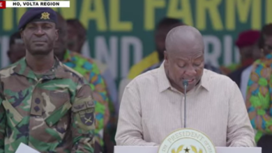 Farmers Day: Mahama calls on professionals to enter farming, pushes for cheaper credit access