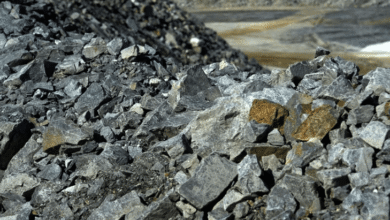 Gov't stops lithium deal for review and wider engagement