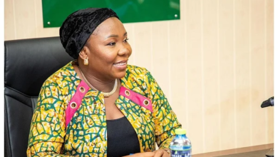 Fatimatu Abubakar warns of growing threat to independent state institutions