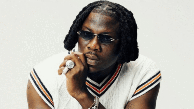 Guru and Stonebwoy’s shared struggles: From Hunger to Success