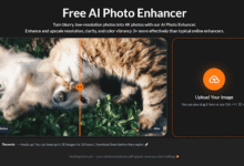 How to Rescue Blurry Photos: From “Ruined” to Ready in a Few Clicks